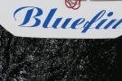 Regaty Zalew 2004 - Bluefin