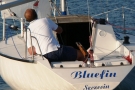 Bluefin 2005 - autor Krzysztof Krygier