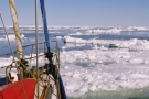 Barlovento II Rosyjska Arktyka - powitanie i najlepsze zdjęcia